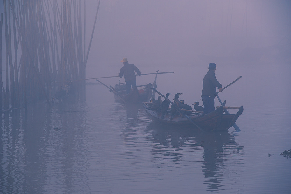 Wetlands and migratory birds on Dongting Lake