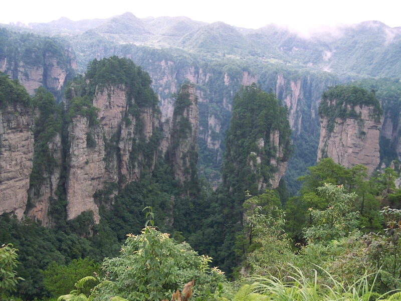 Mist settling over the sandstone pillars of Zhangjiajie